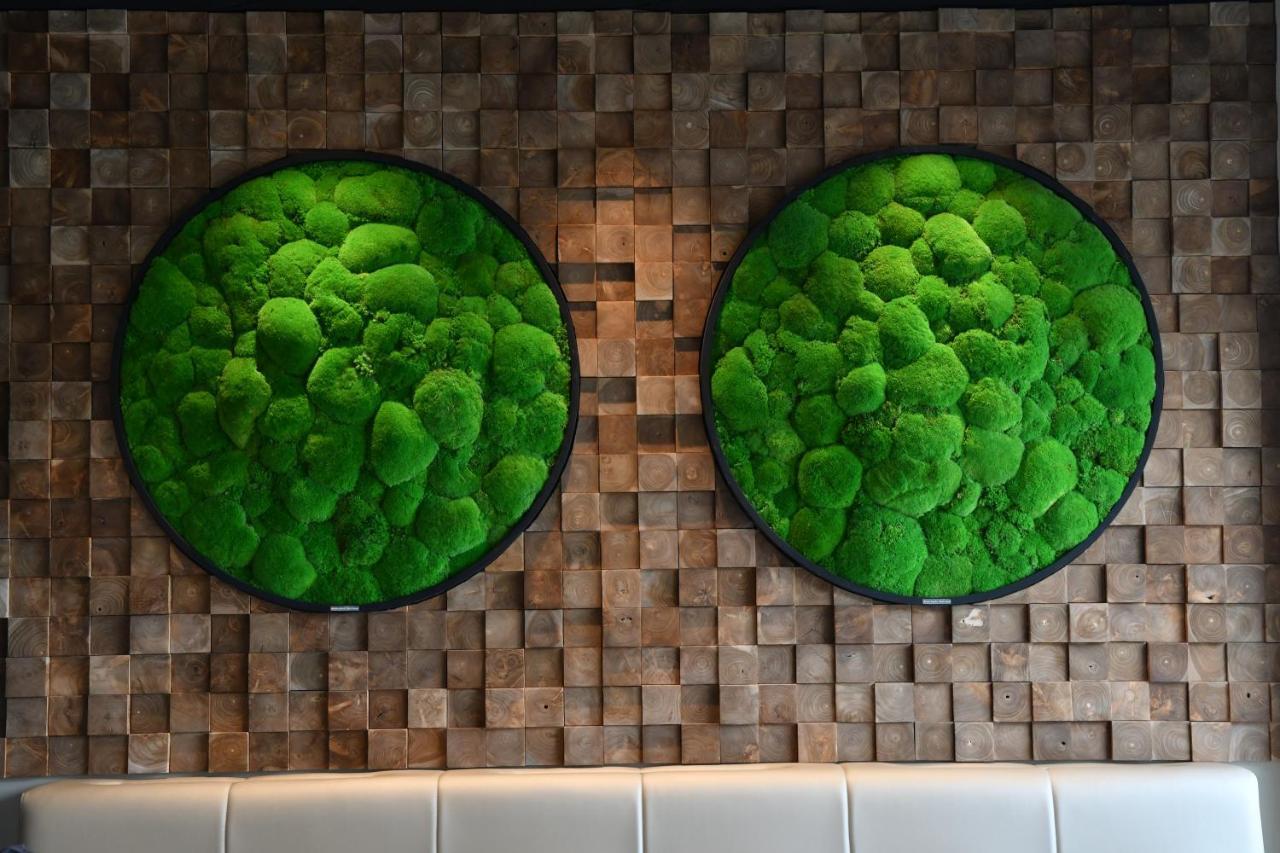 In Situ Hotel Валенсиен Екстериор снимка